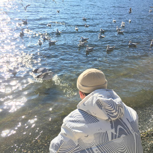 午夜国产无码在线观看
